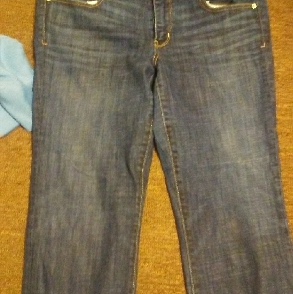 American eagle artist crop capris